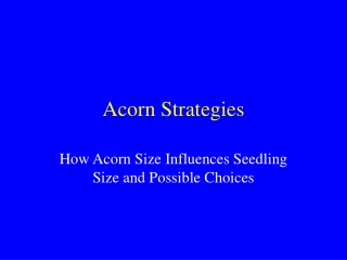 Acorn Strategies