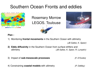 Southern Ocean Fronts and eddies