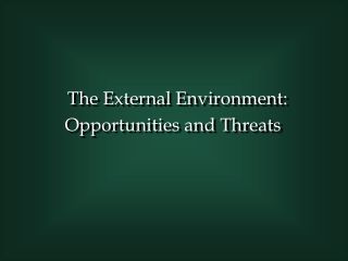 The External Environment: Opportunities and Threats