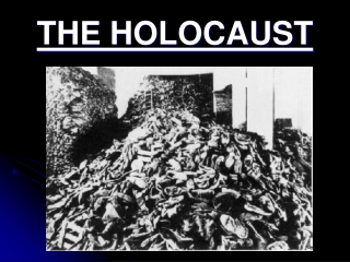 THE HOLOCAUST