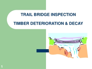 TRAIL BRIDGE INSPECTION  TIMBER DETERIORATION &amp; DECAY