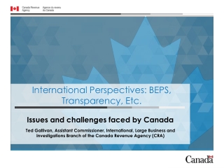 International Perspectives: BEPS, Transparency, Etc.