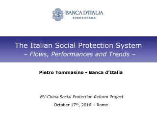 The  Italian  Social  Protection  System –  Flows , Performances and Trends –