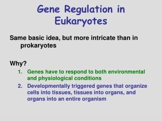 Gene Regulation in Eukaryotes