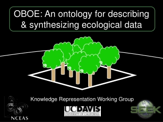 OBOE: An ontology for describing &amp; synthesizing ecological data