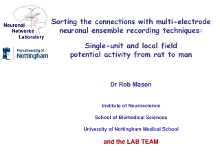 Sorting the connections with multi-electrode neuronal ensemble recording techniques: