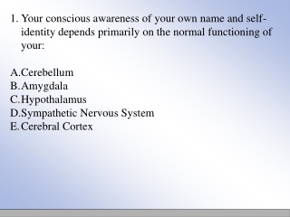 Association Areas :  On Cerebral Cortex