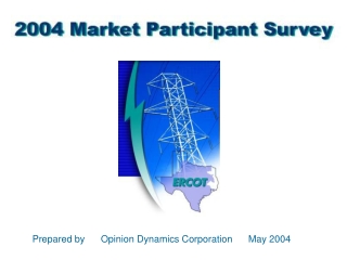 Prepared by      Opinion Dynamics Corporation      May 2004