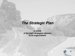 The Strategic Plan