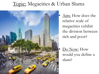 Topic:  Megacities &amp; Urban Slums