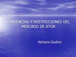 TENDENCIAS Y RESTRICCIONES DEL MERCADO DE AT N