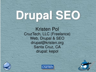 Drupal SEO