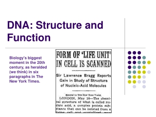 DNA: Structure and Function