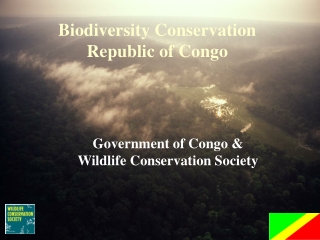 Government of Congo &amp;  Wildlife Conservation Society