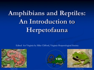 Amphibians and Reptiles: An Introduction to Herpetofauna