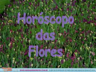 Horóscopo das Flores