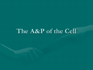 The A&amp;P of the Cell