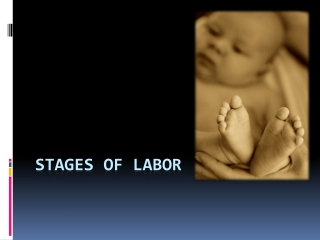 Stages of Labor