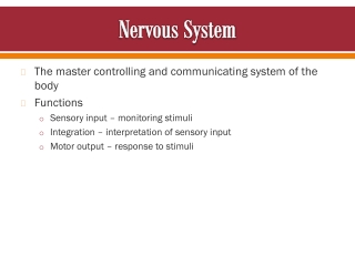 Nervous System