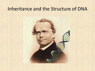 Inheritance and the Structure of DNA