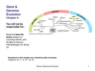 Gene &amp; Genome Evolution Chapter 9 You will not be responsible for: