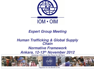 Expert Group Meeting   Human Trafficking &amp; Global Supply Chain Normative Framework