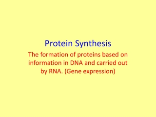 Protein Synthesis