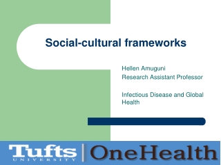Social-cultural frameworks