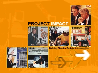 PROJECT  IMPACT