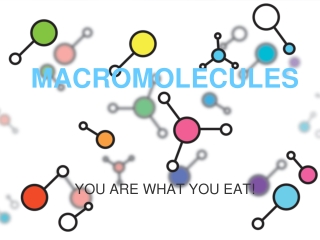 MACROMOLECULES