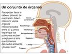 Diapositiva 1