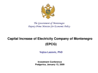 Capital Increase of Electricity Company of Montenegro  (EPCG) Vujica Lazovic, PhD