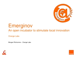 Emerginov An open incubator to stimulate local innovation '