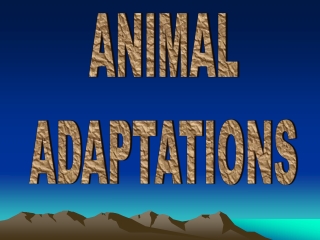 ANIMAL ADAPTATIONS