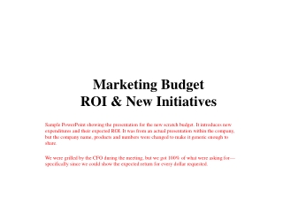Marketing Budget ROI &amp; New Initiatives