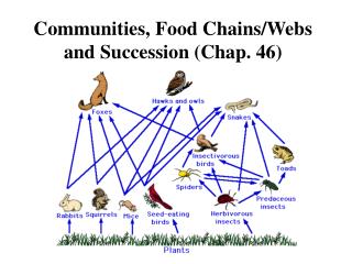Communities, Food Chains/Webs and Succession (Chap. 46)