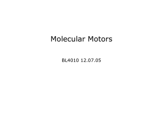 Molecular Motors