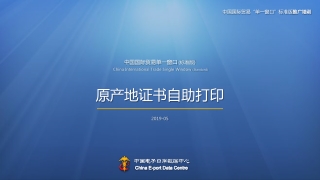 中国国际贸易单一窗口 ( 标准版 ) China International Trade Single Window  (Standard)