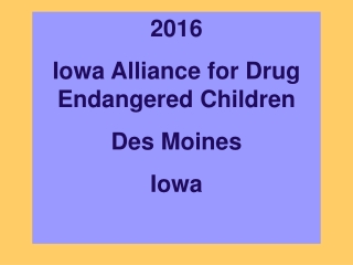 2016 Iowa Alliance for Drug Endangered Children Des Moines Iowa