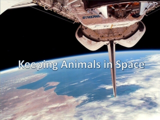 Keeping Animals in Space