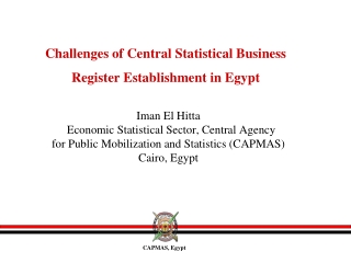 Challenges of Central Statistical Business Register Establishment in Egypt