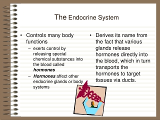 The  Endocrine System