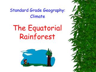 The Equatorial Rainforest