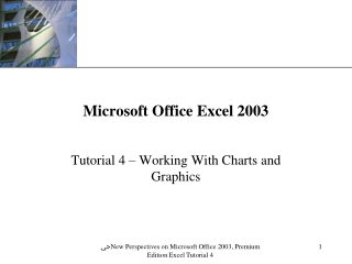 Microsoft Office Excel 2003