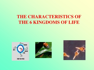 THE CHARACTERISTICS OF THE 6 KINGDOMS OF LIFE