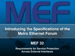 Introducing the Specifications of the Metro Ethernet Forum