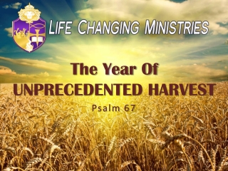 The Year Of  UNPRECEDENTED HARVEST