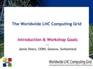 The Worldwide LHC Computing Grid