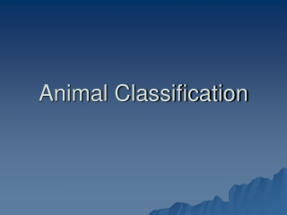 Animal Classification