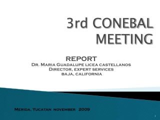 3rd CONEBAL MEETING